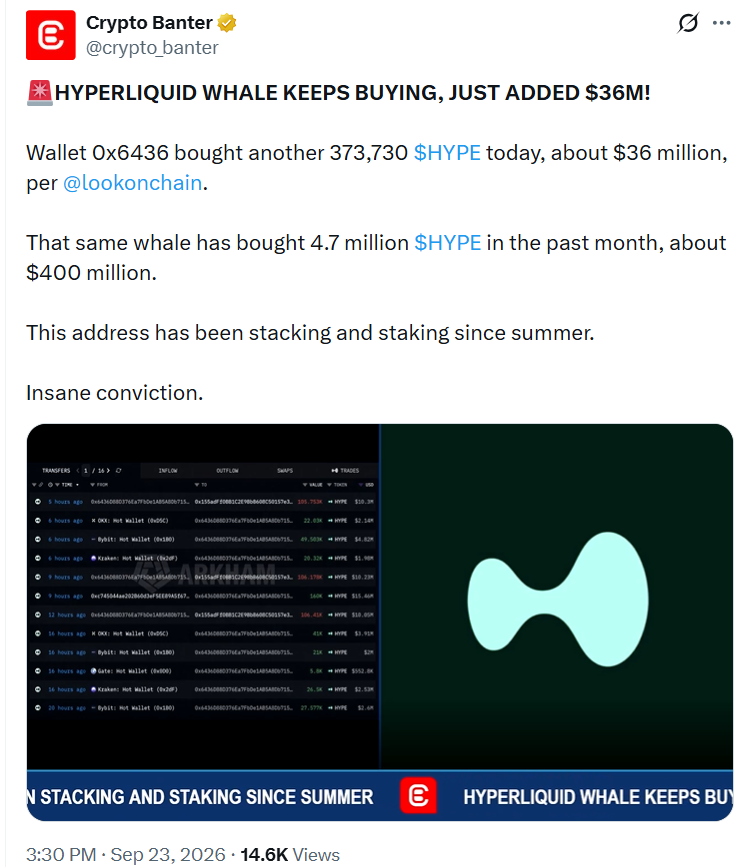 Hyperliquid HYPE whale accumulation news report