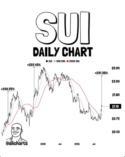Sui price prediction analysis chart